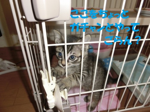 20130605-12.jpg