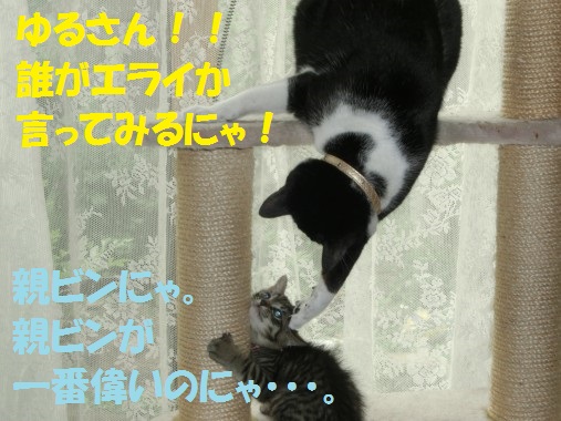 20130608-10.jpg