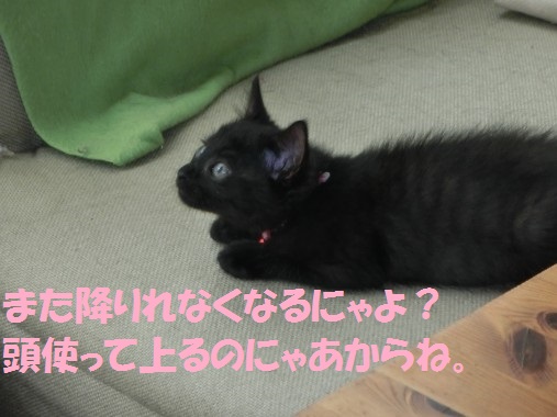 20130608-16.jpg