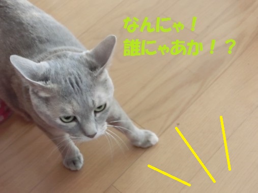 20130611-1.jpg