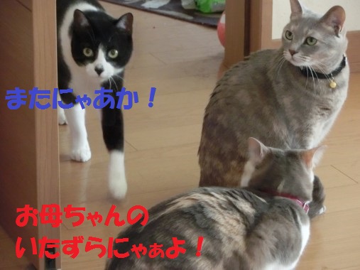 20130611-10.jpg
