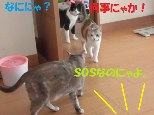 20130611-2.jpg