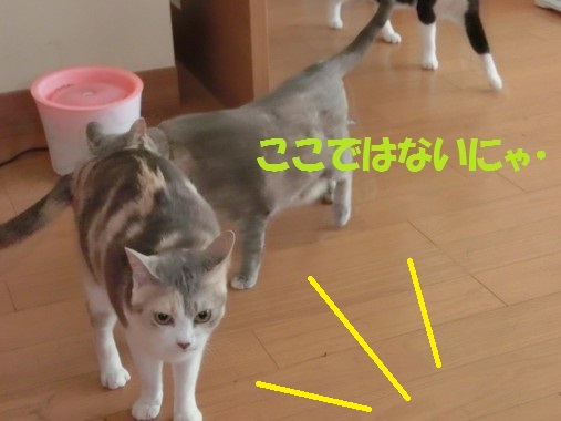 20130611-4.jpg