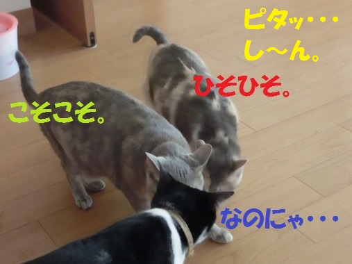 20130611-6.jpg