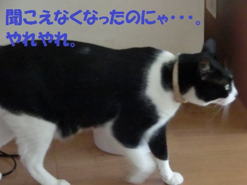 20130611-7.jpg