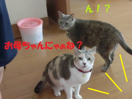 20130611-8.jpg