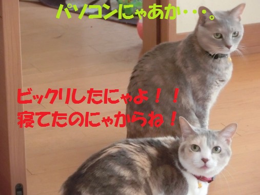 20130611-9.jpg