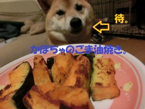 20130612-8.jpg