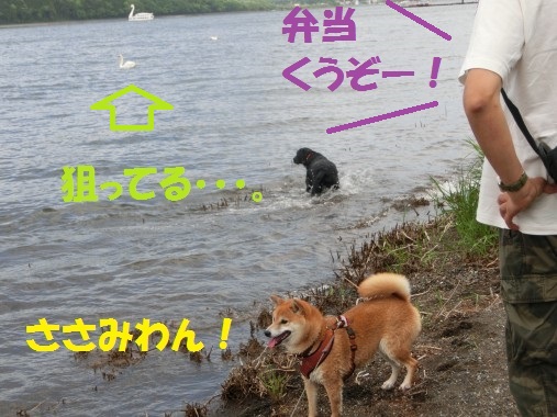 20130614-13.jpg