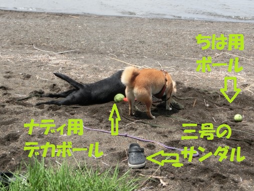 20130615-8.jpg