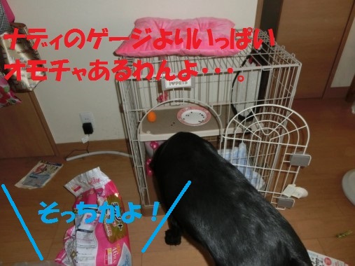20130617-11.jpg