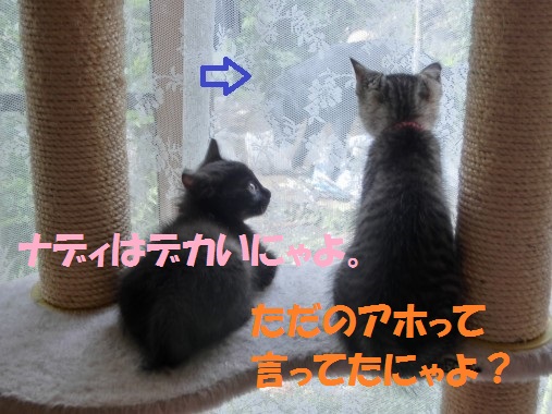 20130618-8.jpg