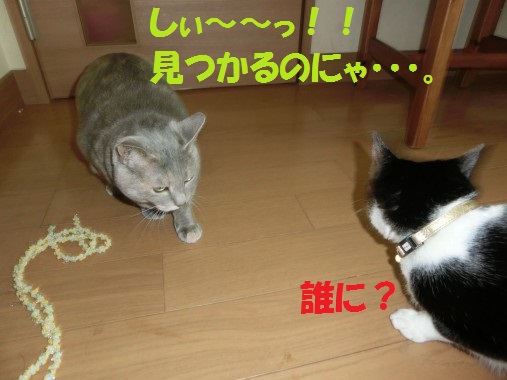 20130620-6.jpg