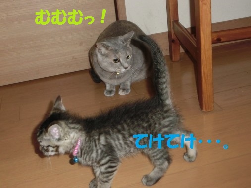 20130620-8.jpg