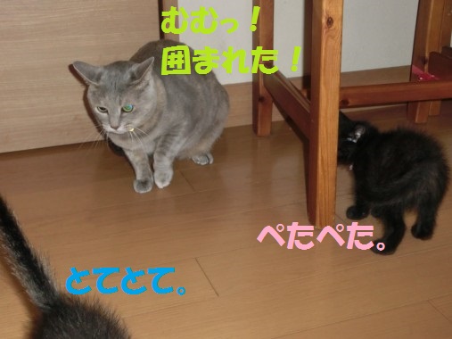 20130620-9.jpg
