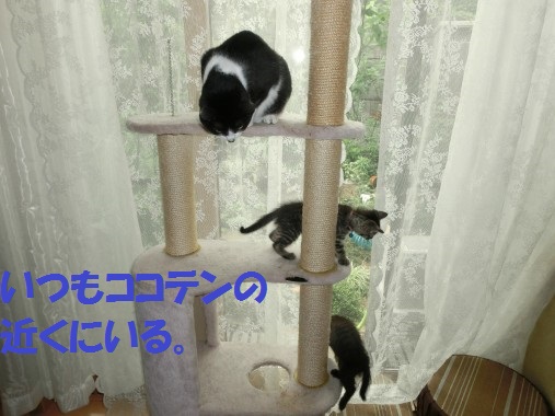 20130622-1.jpg