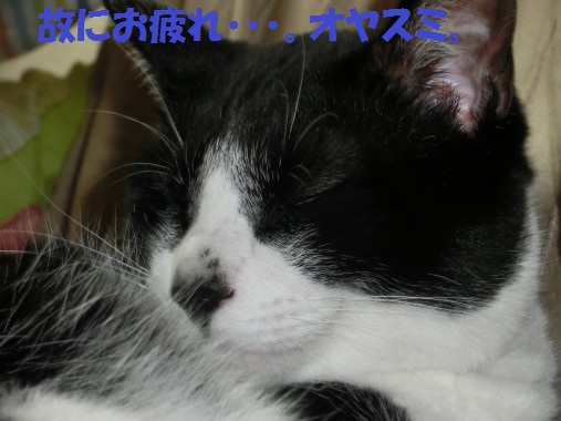20130622-10.jpg