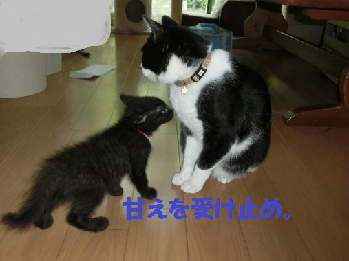 20130622-3.jpg