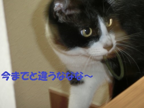 20130622-6.jpg