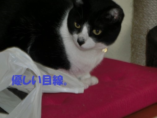 20130622-7.jpg