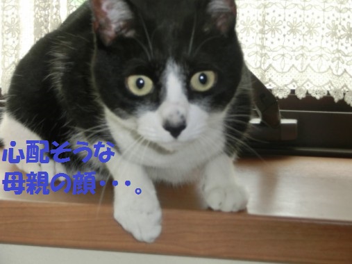 20130622-9.jpg