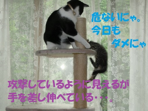 20130624-4.jpg