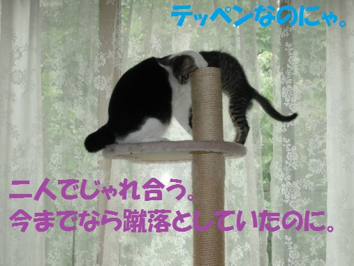 20130624-6.jpg