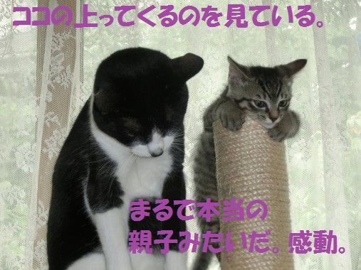 20130624-7.jpg