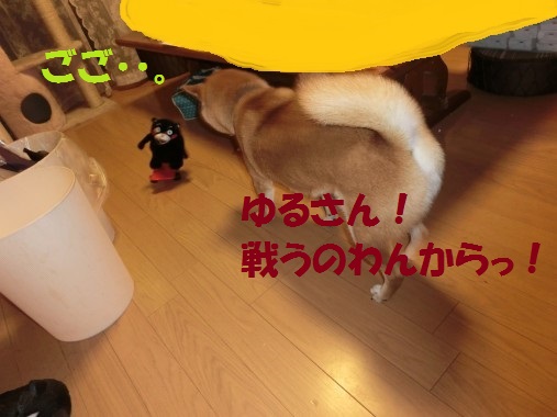 20130625-6.jpg