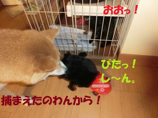 20130625-7.jpg