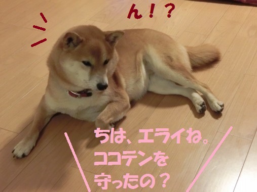 20130625-9.jpg