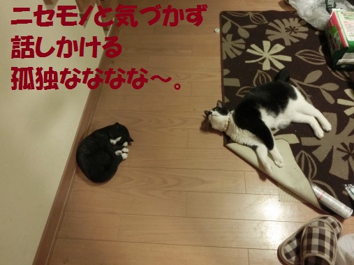 20130627-16.jpg