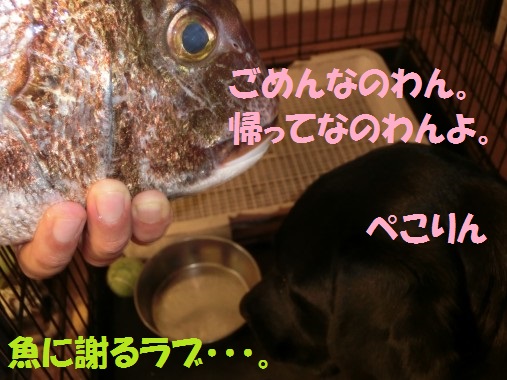20130629-13.jpg