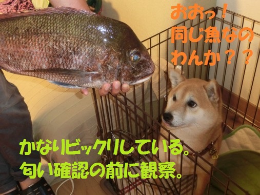 20130629-8.jpg