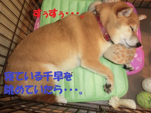 20130701-1.jpg