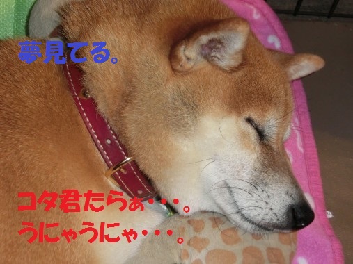 20130701-3.jpg