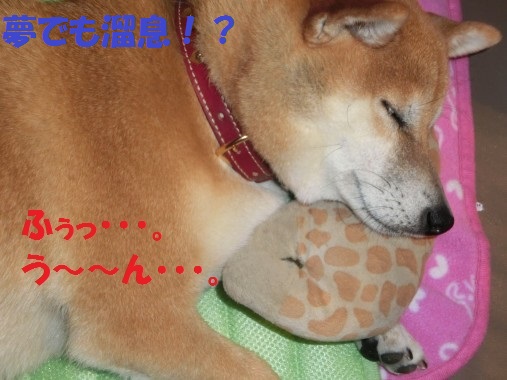 20130701-4.jpg