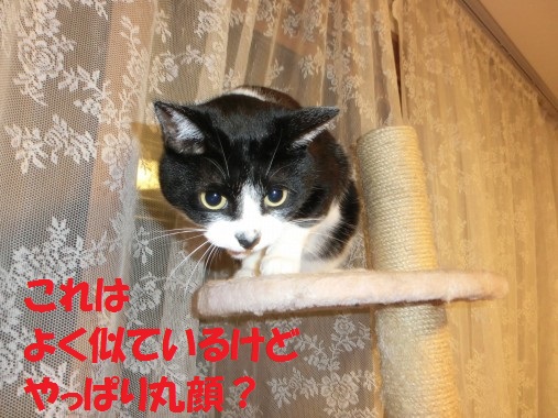 20130704-12.jpg