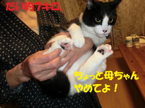 20130704-6.jpg