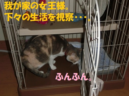 20130708-1.jpg