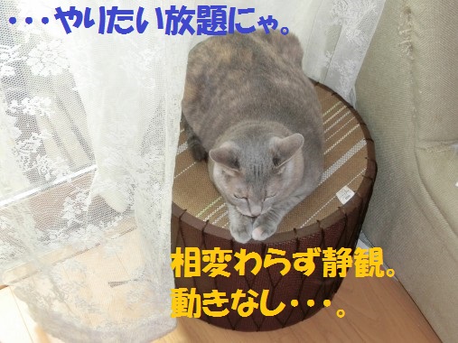 20130708-10.jpg