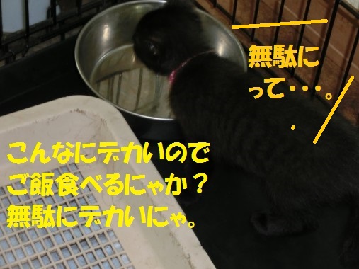 20130708-12.jpg