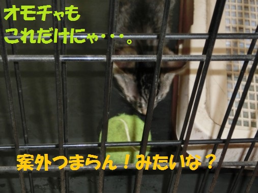 20130708-14.jpg
