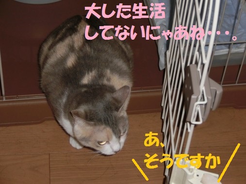 20130708-3.jpg