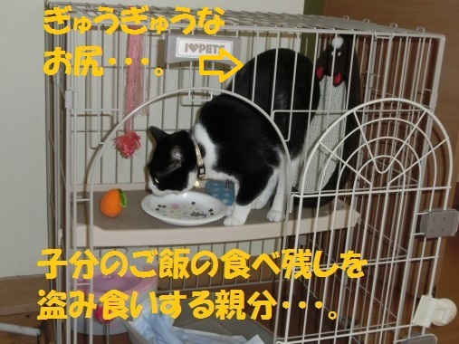 20130708-4.jpg