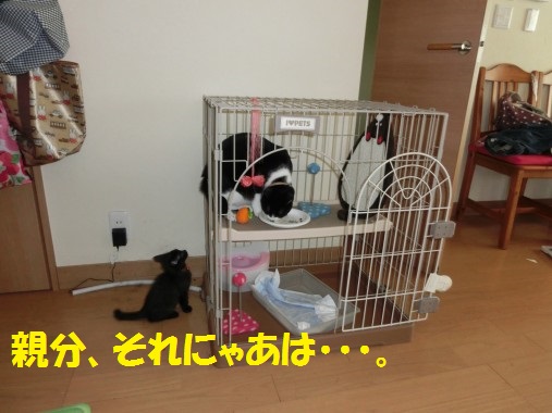 20130708-7.jpg
