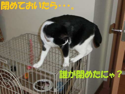 20130708-8.jpg