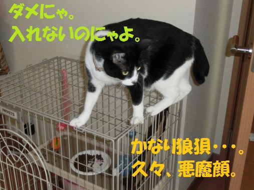 20130708-9.jpg