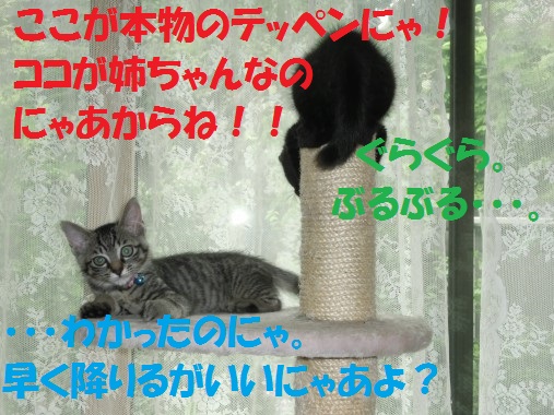 20130710-10.jpg
