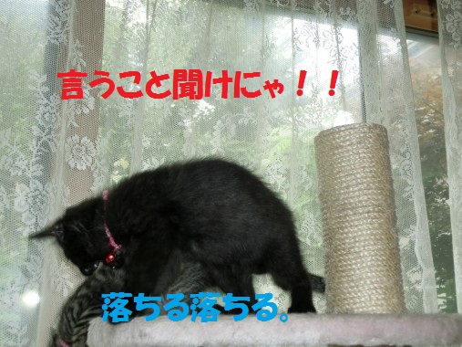 20130710-3.jpg